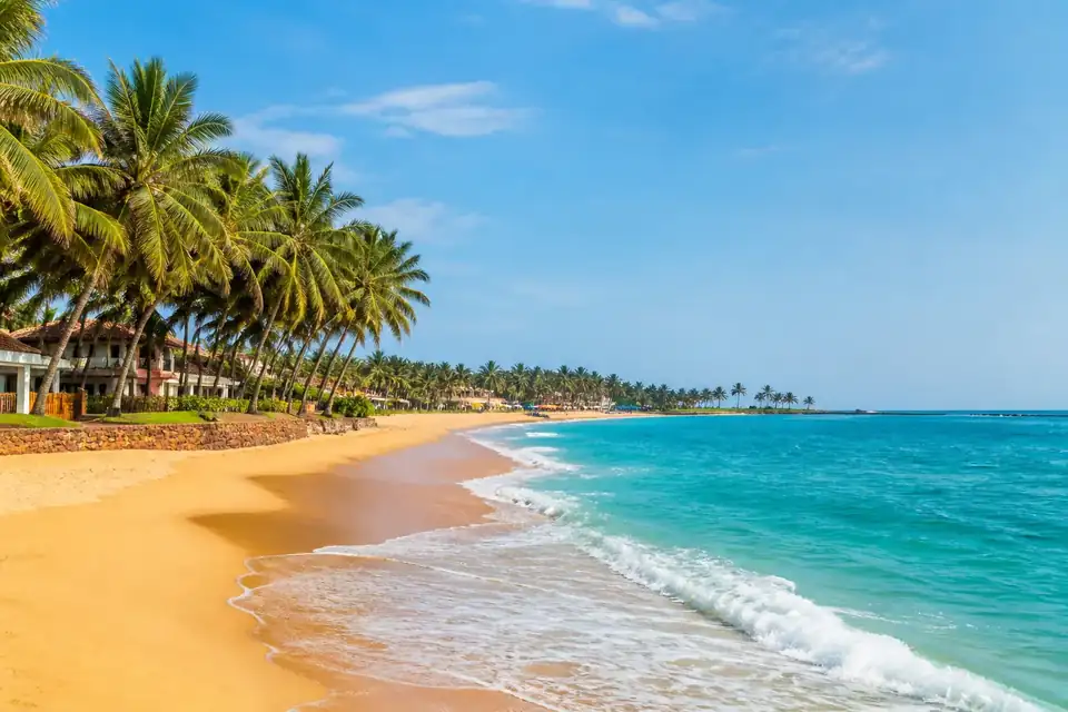 Palm-lined Bentota beach on Sri Lanka’s southwest coast