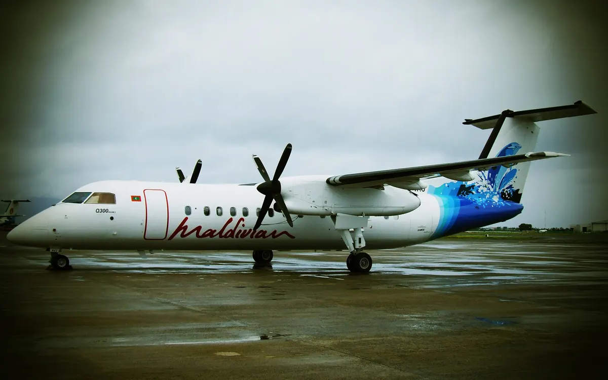 Domestic Flight