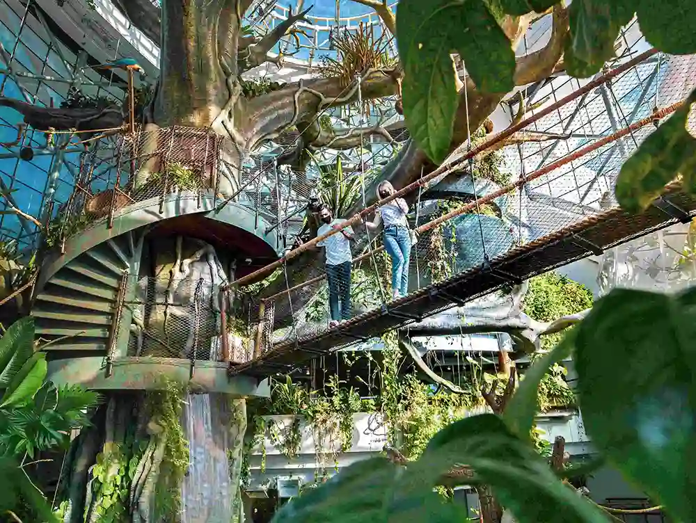 An indoor rainforest experience showcasing tropical plants, wildlife, and interactive nature exhibits.